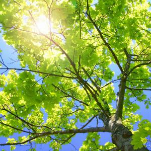 老师两腿间乳液自慰羞羞
