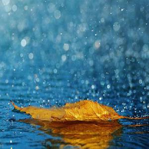 老师两腿间乳液自慰羞羞
